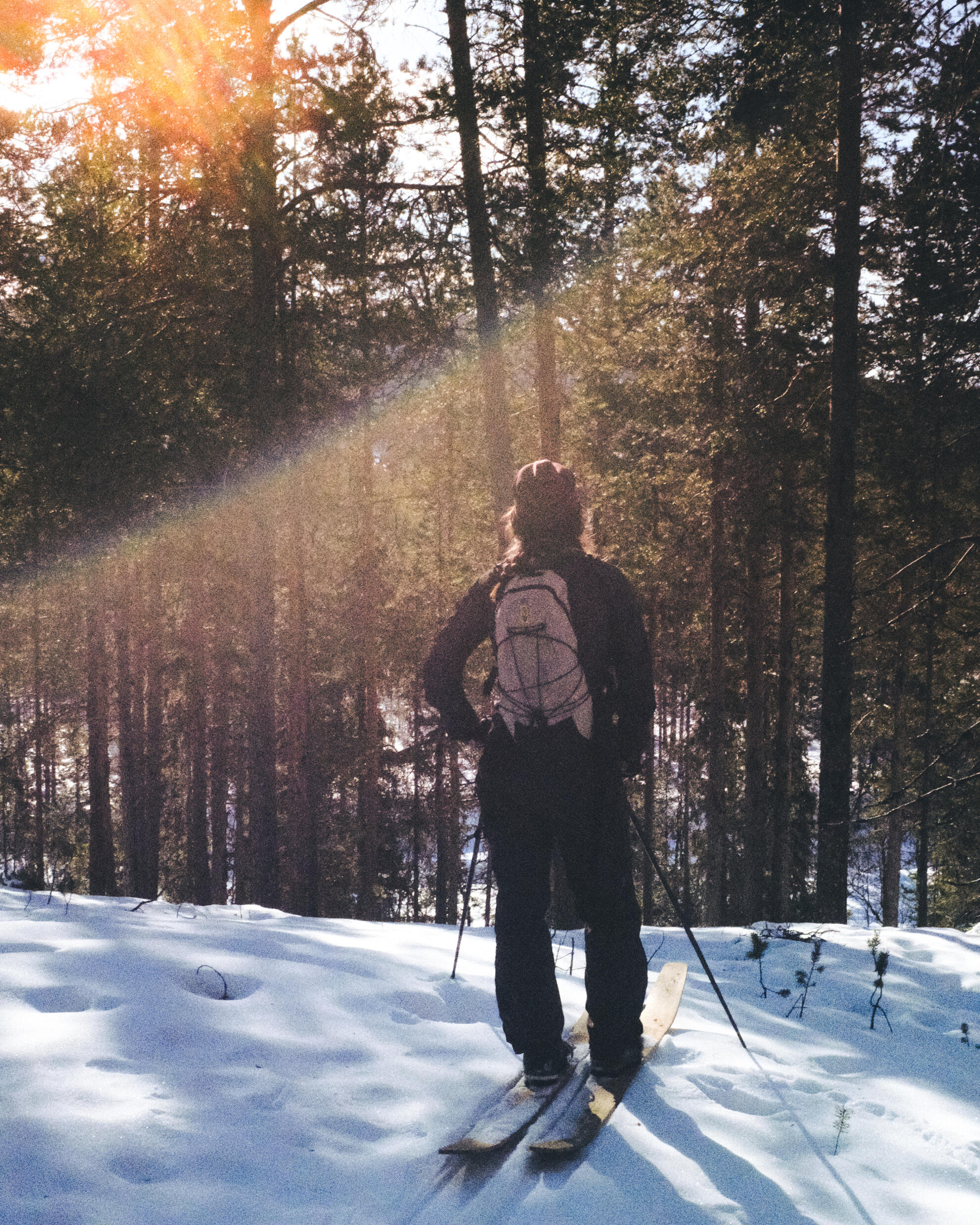 Träskidor vårvinter